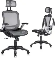 Gabrylly Ergonomic Mesh Office Chair, High Back Desk Chair - Adjustable Headrest