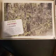 New Vintage Double Victory Greeting Cards Honoring African Americans of WWI