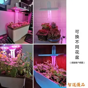 植物補光燈 植力【智慧種植機】室內家庭種菜蔬菜羅勒香菜育苗植物生長補光燈 快速出貨