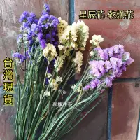 在飛比找Yahoo!奇摩拍賣優惠-星辰花乾燥花勿忘我天然乾燥 台灣現貨 乾燥花材情人節花束畢業