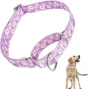 Martingale Dog Collar with Quick Release Dog Training Collars for Small Medium Large Dogs（Purple daisy M）