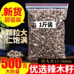 辣木籽泡茶 特大 非洲野生辣木子養生茶500G