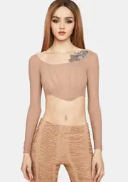Give You A Show Sheer Crop Top