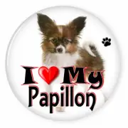 I LOVE MY PAPILLON DOG PUPPY 3" SAFETY PIN BACK BUTTON