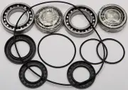 All Balls Racing Differential Bearing and Seal Kit Rear 25-2083