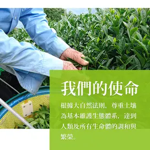 【龍源茶品】蜜香貴妃烏龍│貴妃金萱20入*30g/包罐-共600g-蜒仔茶│小綠葉蟬蟲蜒茶│蜜香茶葉│茶米茶│梨山高山茶