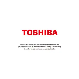 【TOSHIBA 東芝】231L一級能效雙門電冰箱 GR-A28TS(S)