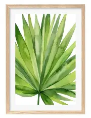 [Profile Australia] Australian Made Fan Palm Leaf Art Print A1 Frame in Natural