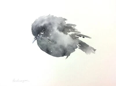 Black Robin, Birds, Watercolor artwork, Handmade, Original painting on paper