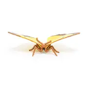 Papo France Clouded Yellow Butterfly Collectible Figurine Kids/Children Toy