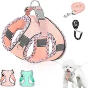Dog Harness and Leash Set, No Pull No Chock Adjustable Chest Trap with Clicker Trainer for Small Dogs Puppy Cats Kitty, Daily Walks Training Lawn Camping Hiking Climbing Running (Pink, XS)