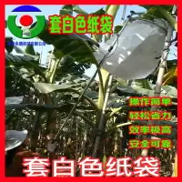 在飛比找樂天市場購物網優惠-【永騰機械】不鏽鋼香蕉套袋器 香蕉套袋神器套香蕉袋子工具機器