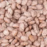 Dry Bulk Pinto 5 Pounds Certified Kosher & Non-GMO
