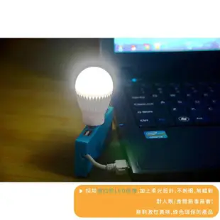 【居家照明】USB燈泡造型LED燈2入(白光 桌燈 夜燈 床頭燈 造型燈 燈飾 露營 讀書 照明)