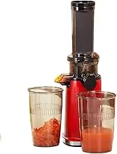 100W Cold Press Juicer Machine, Vegetable Juicer Wtih Juice Cup, Pulp Cup, Masticating Slow Juicer Easy to Clean, Compact Design, Mini Size, for Home Dining Room