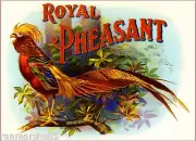 1905 Royal Golden Pheasant Smoke Vintage Cigar Tobacco Box Crate Label Art Print