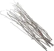 ORFOFE 10Pcs Natural Dried Branches for Home Decor Decorative Twigs for Vases Rustic Twig Arrangements for Living Room Office and Photography Props