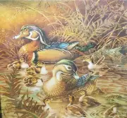 Vintage FAMILY OUTING Ducks, Ducklings 500+ pc SPRINGBOK Jigsaw Puzzle Hallmark