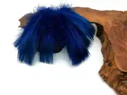 80 Feathers - Royal Blue Goose Coquille Loose Plumage Halloween Wedding Supply