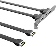 Xuegier USB3.1 Baffle Cable 19PIN/Type-E to Type-C Front C Mother Chassis PCI Bit 10Gbps Short Flat Cable A-30cm