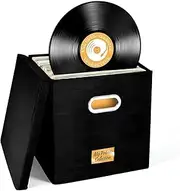 TOMVAES Vinyl Record Storage Box,Records Crate,Album Storage,Fabric Storage Boxes with Lids for Moving,Office,Closet,Home Organizer,33x33x33cm,Black