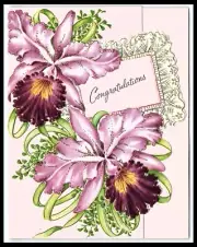 Congratulations Greeting Card Psalm 84:11 Flowers with Envelope e1-1