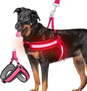 Light Up Dog Harness for Large Dogs, LED Dog Vest Harness USB Rechargeable Glow in the Dark Vest with 3 Light Modes for Night Walking - Pink (Red Light)