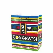 Hallmark Gift Bag, Large, Congrats with Stripes