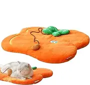 Cat Blanket, Soft Cartoon Shape Kitten Carpet, Interactive Toy, Pet Thermal Pad, Washable Floor Pad, Great Warm Effect, Multi Applications For All Breeds Of Cats
