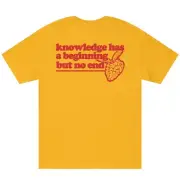 Higher Knowledge No End Tee BC Bape Supreme HK Human Made Kith CPFM HGHR
