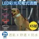 【美好寵商】DOGNESS多尼斯 LED彩光系列項圈-XS號 (4色)