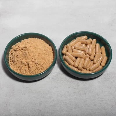LION'S MANE EXTRACT - 50% polysaccharide - 60 (500mg) caps