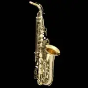 Grassi AS20SK Eb Alto Saxophone Student Kit with Accessories and Case