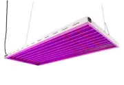 Ft 200W LED Grow Lights with Spectrum and Over 2.0 PPF/W, Great 4X2 BloomBoost