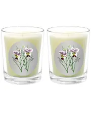 Qualitas Candles Wild Orchid Two Scented Beeswax Candle Set