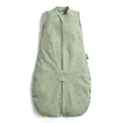 Ergopouch Baby/Toddler Jersey Sleep Suit Bag Tog 0.2 Willow 3-12 Months