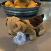 NEW Beanie Babies Tuffy ERRORS 1996 Ty Rare ORIGINAL OWNER Retired Baby Bear
