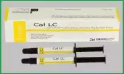 CAL LC Light Cured Radiopaque Calcium Hydroxide Paste 2 x 2gm INTRO PACK
