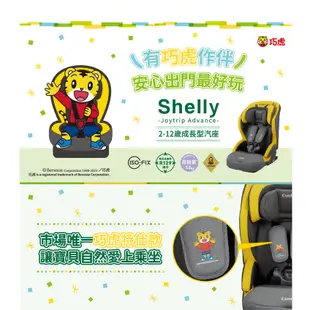 【Combi】Shelly 巧虎版 ISOFIX 成長型 汽車安全座椅｜2-12歲｜成長型座椅｜唯一巧虎授權