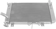 Compatible With Kawasaki Ninja ZX4R ZX4RR 2023 2024-UP Engine Radiator Cooler Cooling Protection Water Tank ZX-4R ZX-4RR ZX 4R 4RR(Silver)