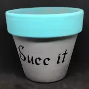 Succ it Succulent Planter, Punny Planter