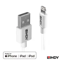 在飛比找Yahoo奇摩購物中心優惠-LINDY 林帝 Apple 認證 USB Type-A t