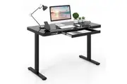 Costway 120x60cm Electric Desk Standing Sit Desk Height Adjustable Desk Home Office Black