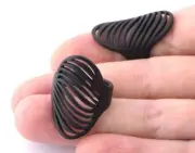 Line Wave Oval Adjustable Ring Brass Black Painted (7US 9US inner size) 4746
