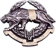 [Pinstant] Ukraine Special Operations Forces Wolf Ukrainian Emblem Army Military Soldiers Support Coat of Arms Trident 1.6"" Enamel Pin Badge, 1.6 Inches, Enamel, enamel