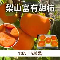 在飛比找台灣好農優惠-灰灰果園 梨山富有甜柿10A 5粒裝