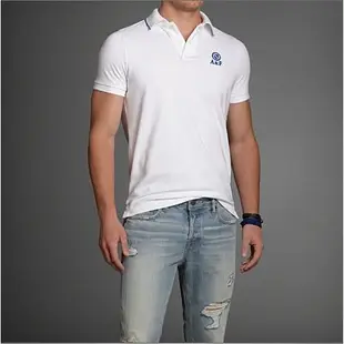 美國 Abercrombie & Fitch Skylight Mountain Polo 男麋鹿網眼POLO衫 M號