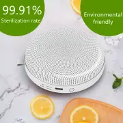 Air Purifier Mini Ozone Generator O3 Disinfection Portable Car Home Refrigerator