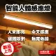 磁吸感應燈 人體 LED 燈條 露營燈 USB充電 LED感應燈 小夜燈 走廊燈 櫥櫃燈 氛圍燈 展示燈 床頭燈 白光