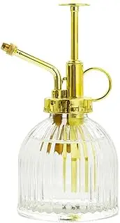 Ebristar Plant Mister, Decorative Glass Water Spray Bottle with Gold Top Pump Small Watering Can Clear